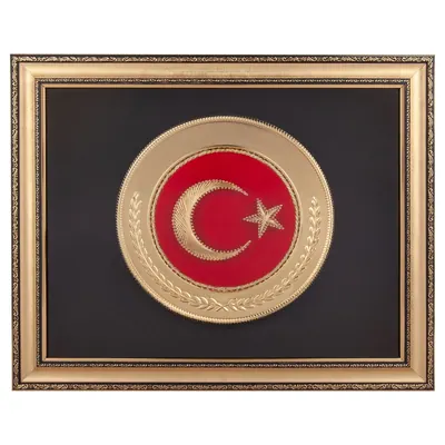 Alpagut Altın Ayyıldız Arma Tablo